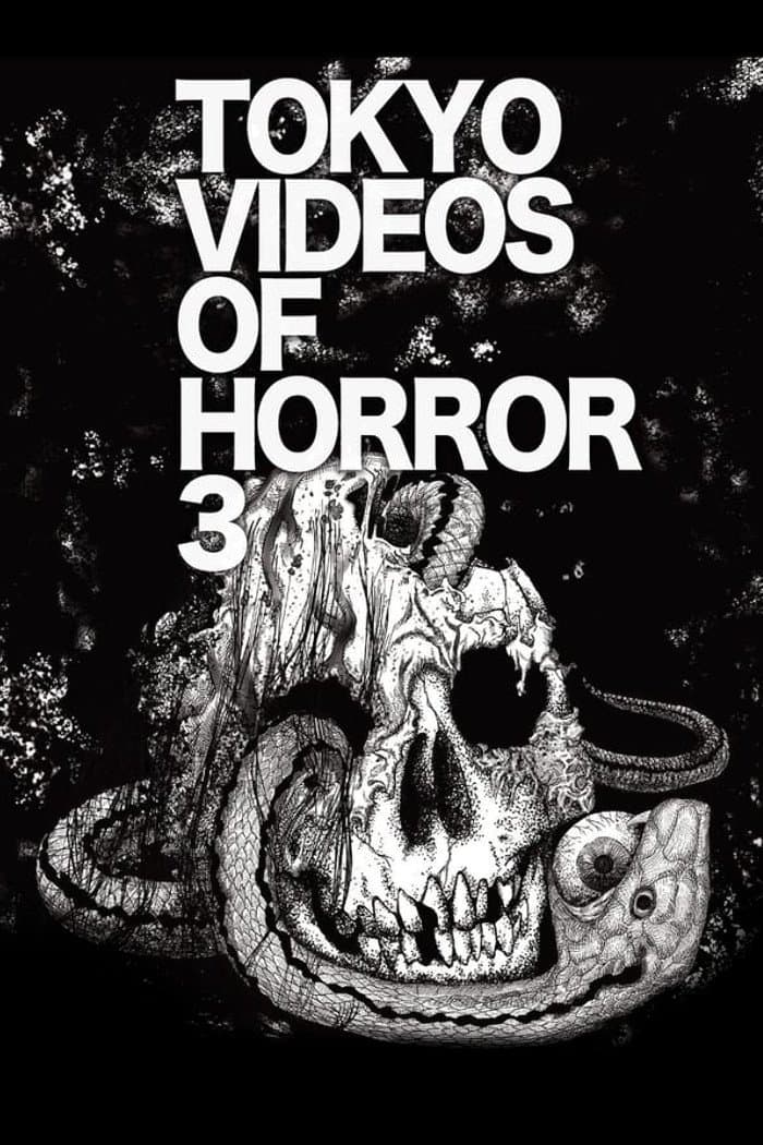 Tokyo Videos of Horror 3 full movie