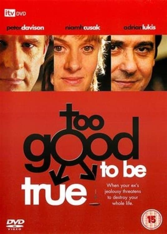 Too Good to Be True full movie