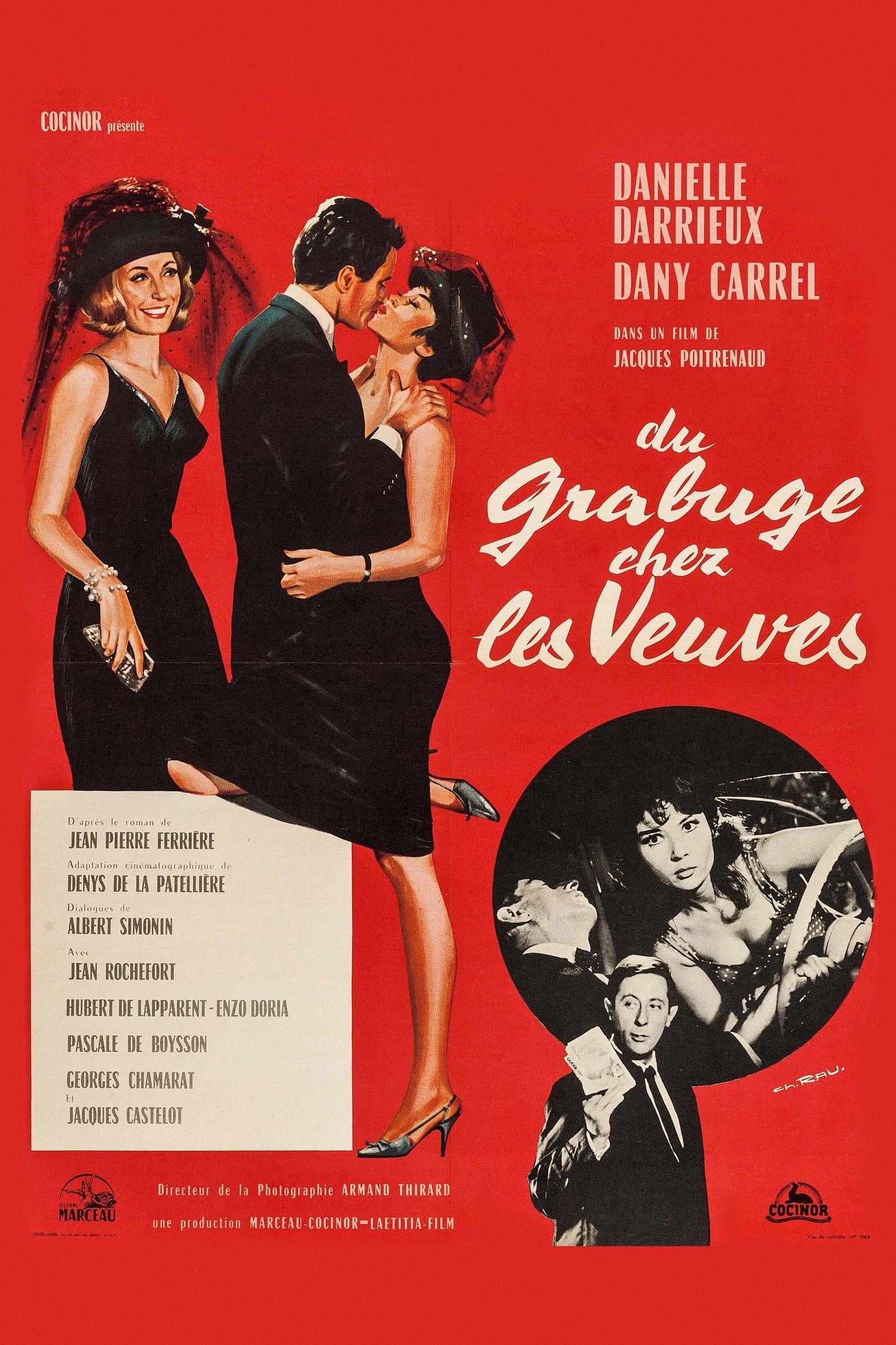 Trouble Among Widows full movie
