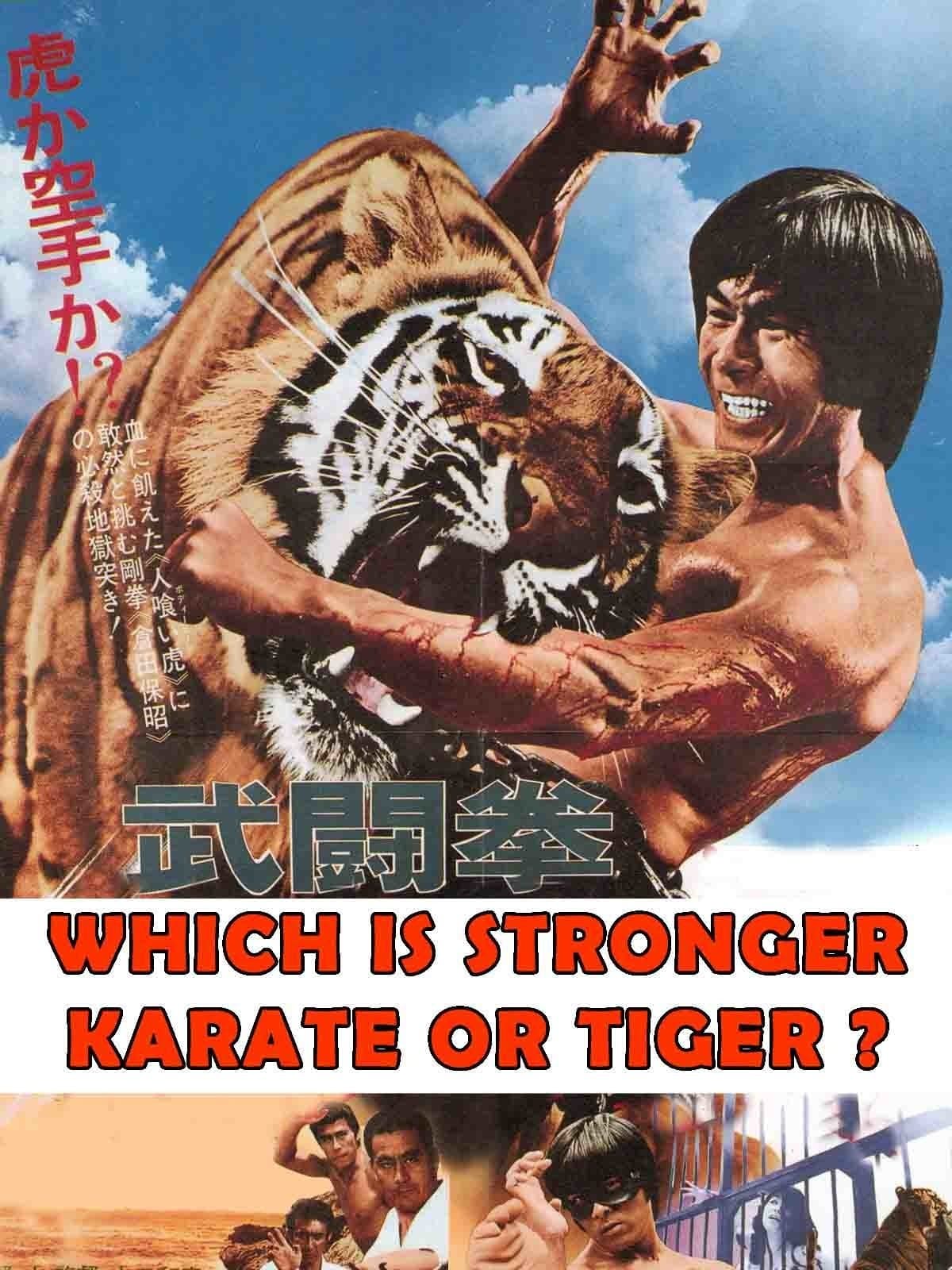 Which Is Stronger, Karate or the Tiger? full movie