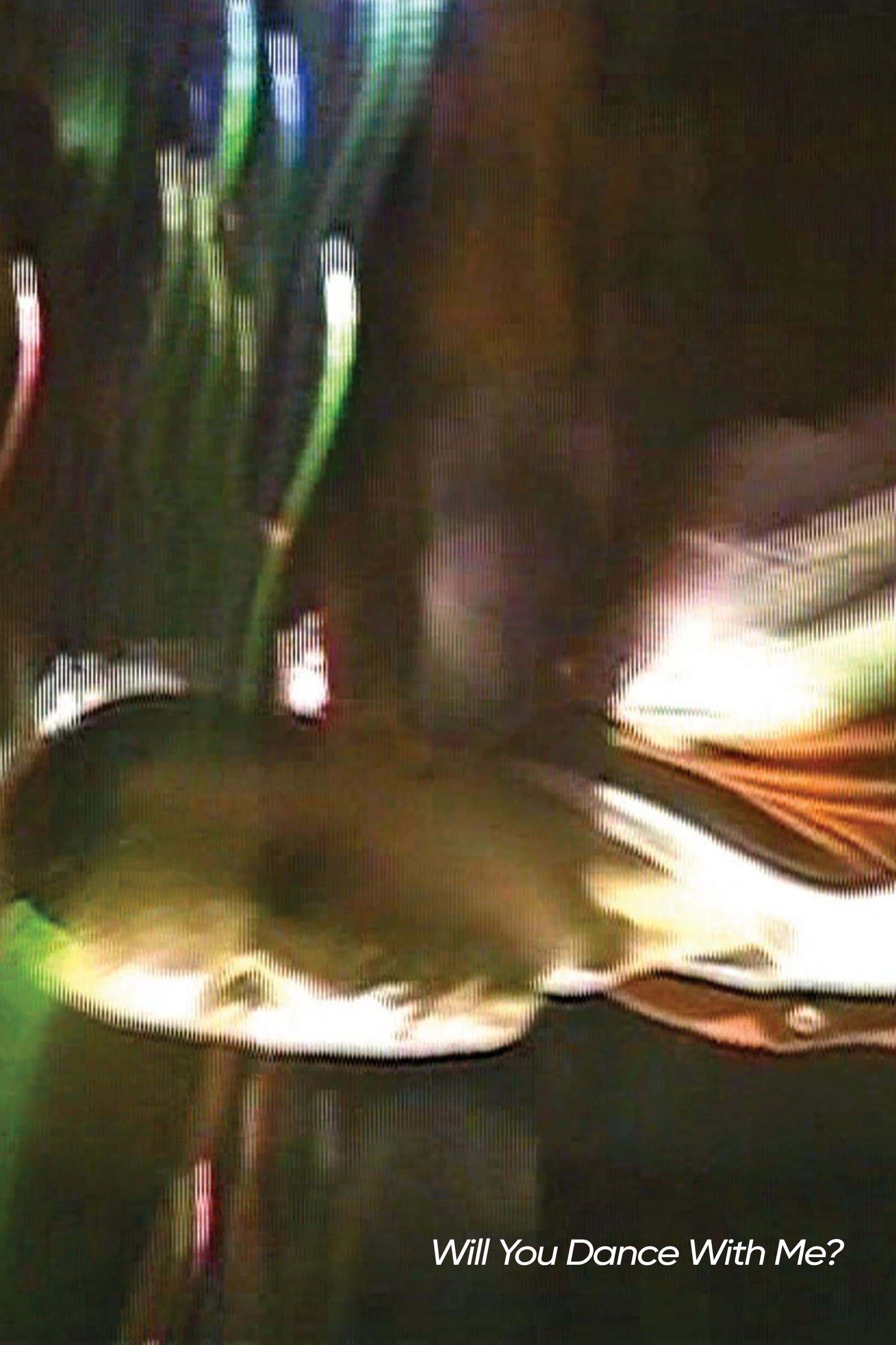 Will You Dance With Me? full movie