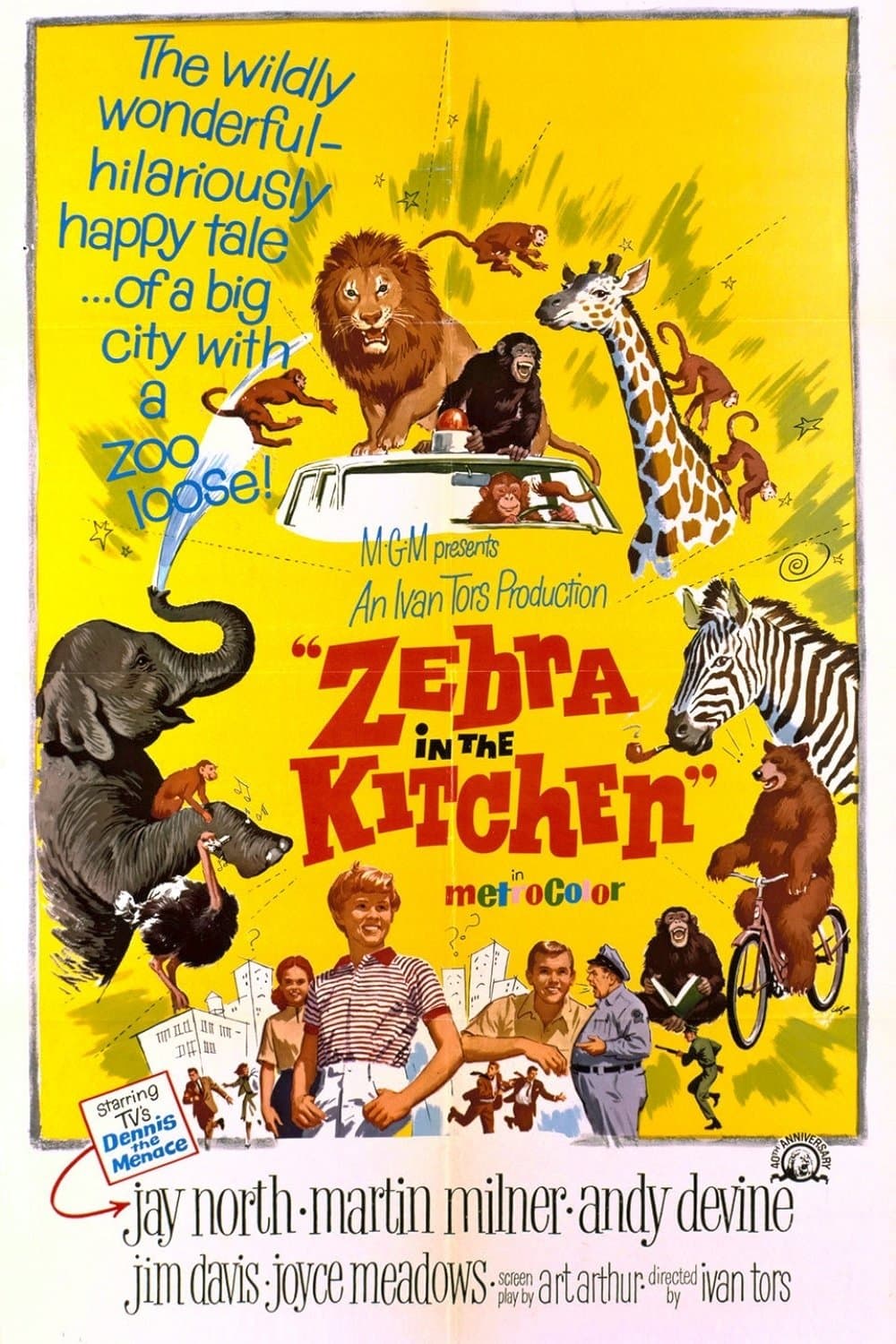 Zebra in the Kitchen full movie